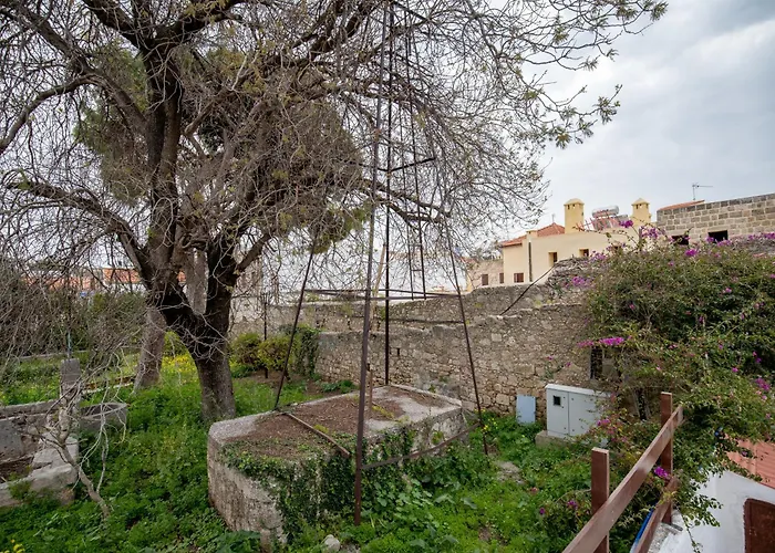 Xenofon Traditional *